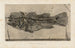Recherches sur les poissons fossiles Pl347 - Louis Agassiz — Ansicht des Kunstwerks