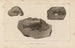 Recherches sur les poissons fossiles Pl357 - Louis Agassiz — Ansicht des Kunstwerks