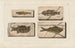 Recherches sur les poissons fossiles, Pl. 360 - Louis Agassiz — Ansicht des Kunstwerks