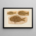 Recherches sur les poissons fossiles Pl378 - Louis Agassiz — gerahmtes Bild an der Wand