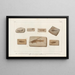 Recherches sur les poissons fossiles Pl382 - Louis Agassiz — gerahmtes Bild an der Wand
