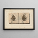 Recherches sur les poissons fossiles, Pl. 394 - Louis Agassiz — gerahmtes Bild an der Wand