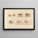 Recherches sur les poissons fossiles Pl396 - Louis Agassiz — gerahmtes Bild an der Wand
