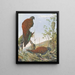 Fasan Pfau mit bronzefarbener Schwanzflosse aus Malaysia - Louis Agassiz Fuertes — gerahmtes Bild an der Wand