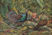 Palawan Pfau Hühner Gemälde - Louis Agassiz Fuertes — Ansicht des Kunstwerks