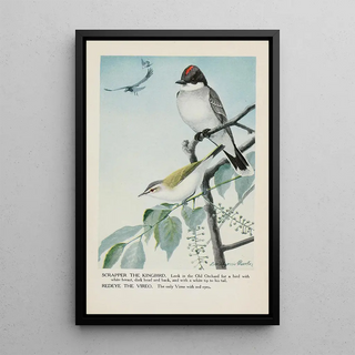 Louis Agassiz Fuertes - Scrapper the Kingbird Redeye the Vireo.webp