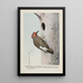 Yellow Wing le Pic flamboyant - Louis Agassiz Fuertes — gerahmtes Bild an der Wand