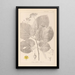 Herbier de la flore française Pl0029 - Louis Antoine Cusin — gerahmtes Bild an der Wand