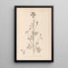 Herbier de la flore française Pl0033 - Louis Antoine Cusin — gerahmtes Bild an der Wand