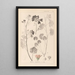 Herbier de la flore française Pl0035 - Louis Antoine Cusin — gerahmtes Bild an der Wand