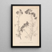 Herbier de la flore française Pl0036 - Louis Antoine Cusin — gerahmtes Bild an der Wand