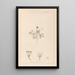 Herbier de la flore française Pl0038 - Louis Antoine Cusin — gerahmtes Bild an der Wand