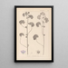 Herbier de la flore française Pl0041 - Louis Antoine Cusin — gerahmtes Bild an der Wand