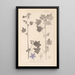 Herbier de la flore française Pl0046 - Louis Antoine Cusin — gerahmtes Bild an der Wand