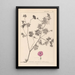 Herbier de la flore française Pl0068 - Louis Antoine Cusin — gerahmtes Bild an der Wand