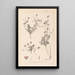 Herbier de la flore française Pl0085 - Louis Antoine Cusin — gerahmtes Bild an der Wand