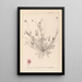 Herbier de la flore française Pl0091 - Louis Antoine Cusin — gerahmtes Bild an der Wand