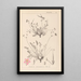 Herbier de la flore française Pl0097 - Louis Antoine Cusin — gerahmtes Bild an der Wand