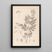 Herbier de la flore française Pl0126 - Louis Antoine Cusin — gerahmtes Bild an der Wand