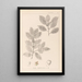 Herbier de la flore française Pl0144 - Louis Antoine Cusin — gerahmtes Bild an der Wand