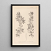 Herbier de la flore française Pl0155 - Louis Antoine Cusin — gerahmtes Bild an der Wand