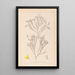 Herbier de la flore française Pl0173 - Louis Antoine Cusin — gerahmtes Bild an der Wand