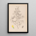 Herbier de la flore française Pl0307 - Louis Antoine Cusin — gerahmtes Bild an der Wand
