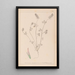 Herbier de la flore française Pl0317 - Louis Antoine Cusin — gerahmtes Bild an der Wand