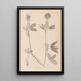 Herbier de la flore française Pl0326 - Louis Antoine Cusin — gerahmtes Bild an der Wand