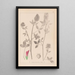 Herbier de la flore française Pl0347 - Louis Antoine Cusin — gerahmtes Bild an der Wand