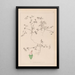 Herbier de la flore française Pl0349 - Louis Antoine Cusin — gerahmtes Bild an der Wand