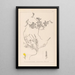Herbier de la flore française Pl0378 - Louis Antoine Cusin — gerahmtes Bild an der Wand