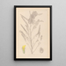 Herbier de la flore française Pl0407 - Louis Antoine Cusin — gerahmtes Bild an der Wand