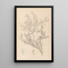 Herbier de la flore française Pl0421 - Louis Antoine Cusin — gerahmtes Bild an der Wand