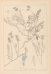 Herbier de la flore française Pl0431 - Louis Antoine Cusin — Ansicht des Kunstwerks