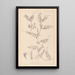 Herbier de la flore française Pl0443 - Louis Antoine Cusin — gerahmtes Bild an der Wand