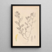 Herbier de la flore française Pl0454 - Louis Antoine Cusin — gerahmtes Bild an der Wand