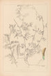 Herbier de la flore française Pl0455 - Louis Antoine Cusin — Ansicht des Kunstwerks