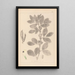 Herbier de la flore française Pl0457 - Louis Antoine Cusin — gerahmtes Bild an der Wand