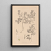 Herbier de la flore française Pl0463 - Louis Antoine Cusin — gerahmtes Bild an der Wand