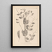 Herbier de la flore française Pl0492 - Louis Antoine Cusin — gerahmtes Bild an der Wand