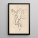 Herbier de la flore française Pl0508 - Louis Antoine Cusin — gerahmtes Bild an der Wand