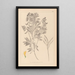 Herbier de la flore française Pl0513 - Louis Antoine Cusin — gerahmtes Bild an der Wand