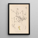Herbier de la flore française Pl0541 - Louis Antoine Cusin — gerahmtes Bild an der Wand