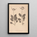 Herbier de la flore française Pl0688 - Louis Antoine Cusin — gerahmtes Bild an der Wand
