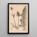 Herbier de la flore française Pl0710 - Louis Antoine Cusin — gerahmtes Bild an der Wand