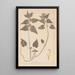 Herbier de la flore française Pl0830 - Louis Antoine Cusin — gerahmtes Bild an der Wand