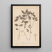 Herbier de la flore française Pl0841 - Louis Antoine Cusin — gerahmtes Bild an der Wand