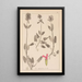 Herbier de la flore française Pl0861 - Louis Antoine Cusin — gerahmtes Bild an der Wand