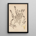 Herbier de la flore française Pl0873 - Louis Antoine Cusin — gerahmtes Bild an der Wand